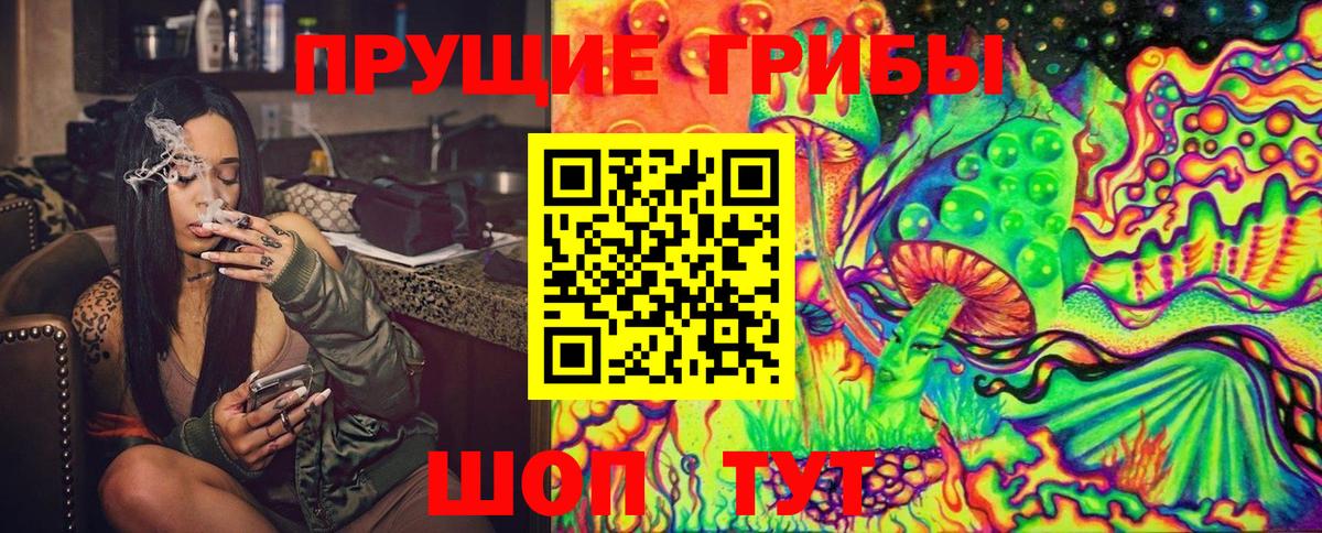 наркотики  Галлюциногенные грибы Cubensis  Вход с VPN  Сокол 